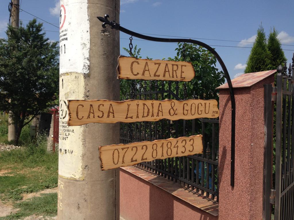 Casa Lidia Si Gogu Hotel Budeasa Mare Exterior photo